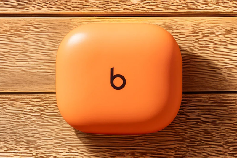 Beats Powerbeats Fit Kopfhörer-Case