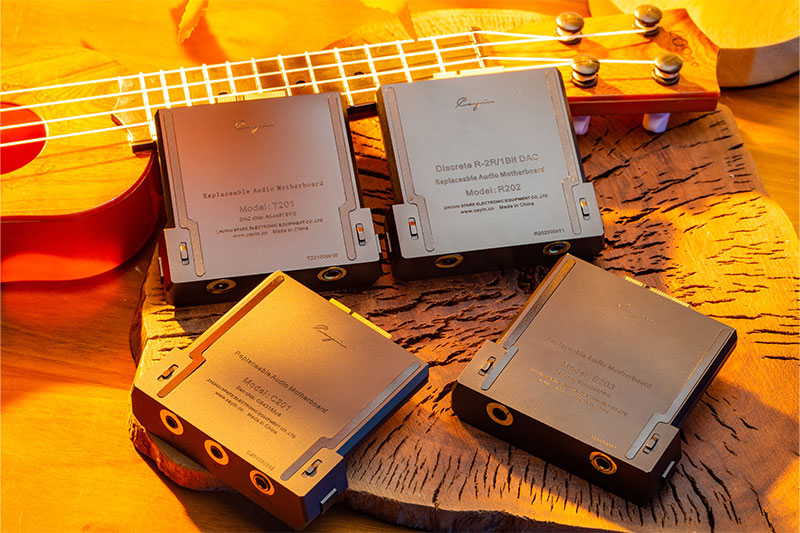 Neben dem T201 stehen für den Cayin N6iii drei weitere Boards bereit. Das R202 , das C201, das E203