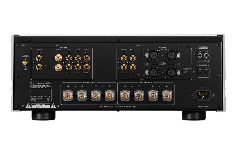 Luxman L-100 CENTENNIAL Anschlüsse