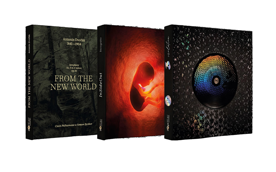 Vinyl Vision 3000 Boxsets und Schallplatte