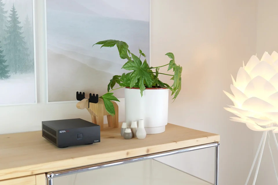 Iotavx B:ound auf einer Holz-Konsole neben Holzelch, Vasen und Zimmerpflanze